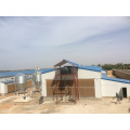 Automatic Environmental Controlled Steel Structure Poultry Farm Construction